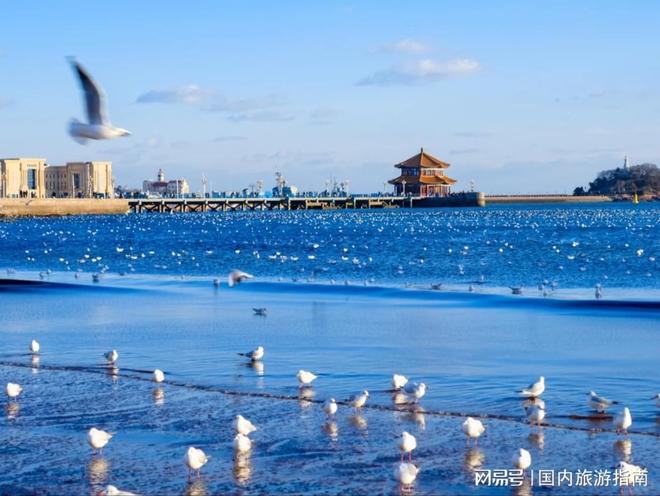 青岛正规旅行社怎么选：资质齐全排名前十的